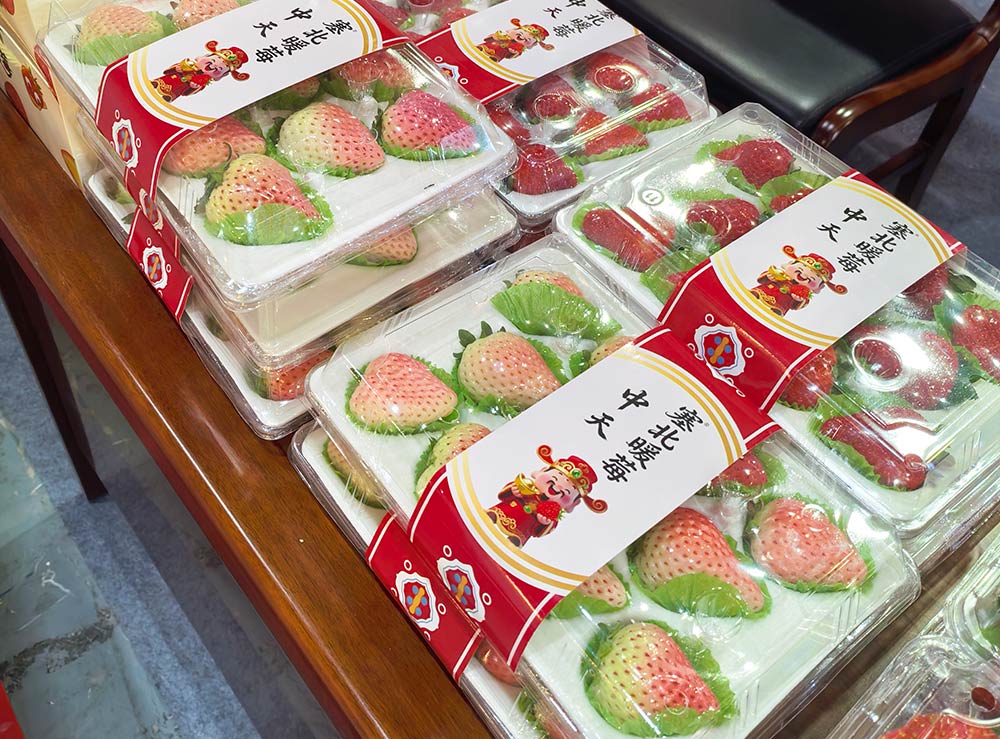 微信圖片_20260202145433_856_1切.jpg 微信圖片_20260202145433_856_1切.jpg